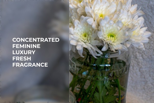 concentrated feminine luxury fresh fragrance