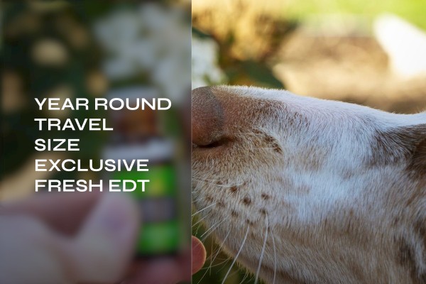 year-round travel size exclusive fresh edt